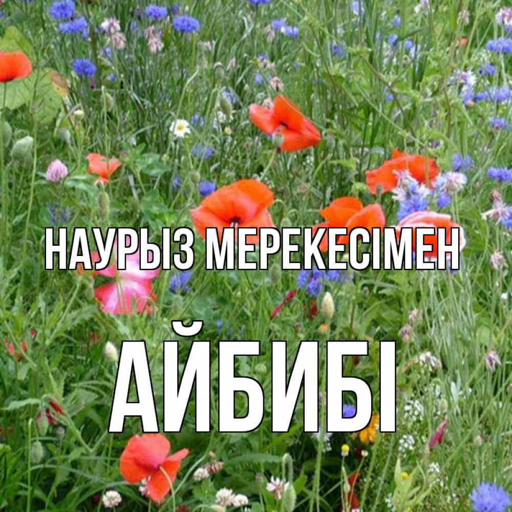 Күн сайын ашық хат с именем, АЙБИБІ Наурыз мерекесімен праздник весны наурыз супер открытка Онлайн тегін жүктеп алу тілектері бар керемет карта 