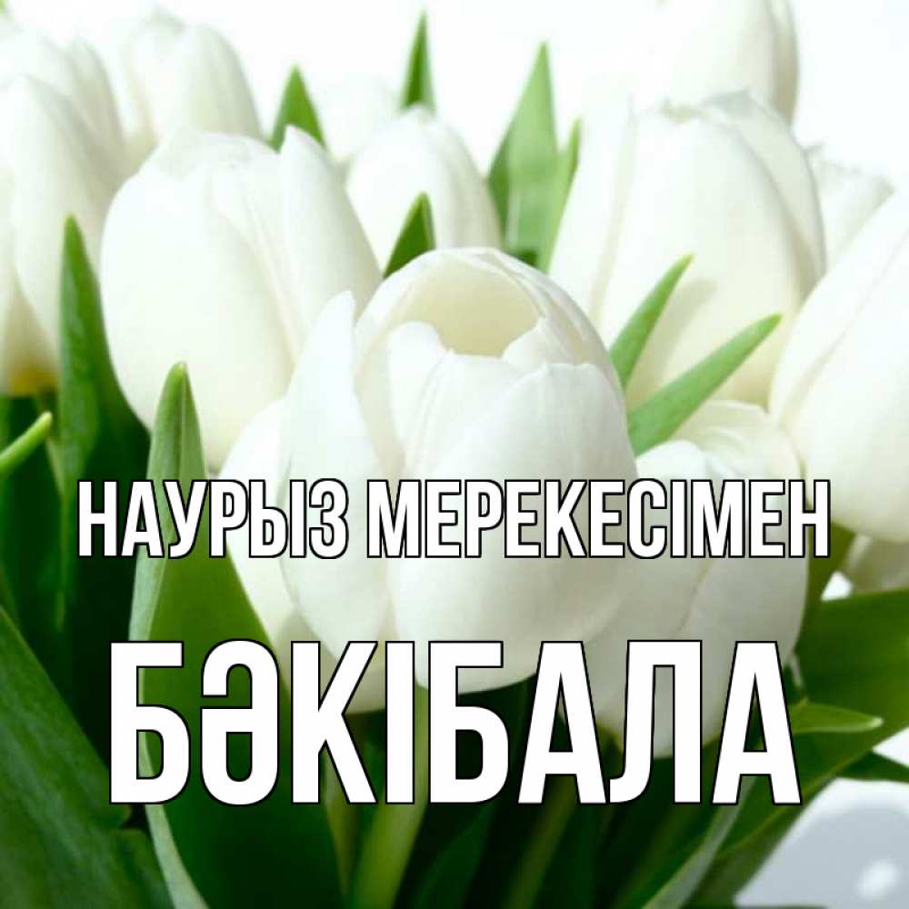 Күн сайын ашық хат с именем, БӘКІБАЛА Наурыз мерекесімен цветы Онлайн тегін жүктеп алу тілектері бар керемет карта 
