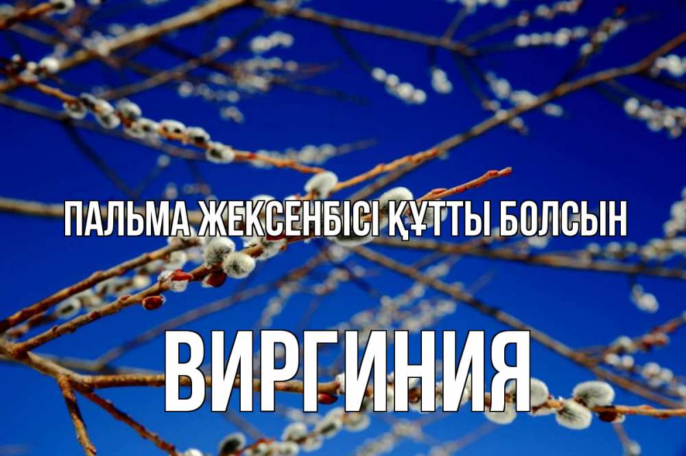Күн сайын ашық хат с именем, Виргиния Пальма жексенбісі құтты болсын верба Онлайн тегін жүктеп алу тілектері бар керемет карта 