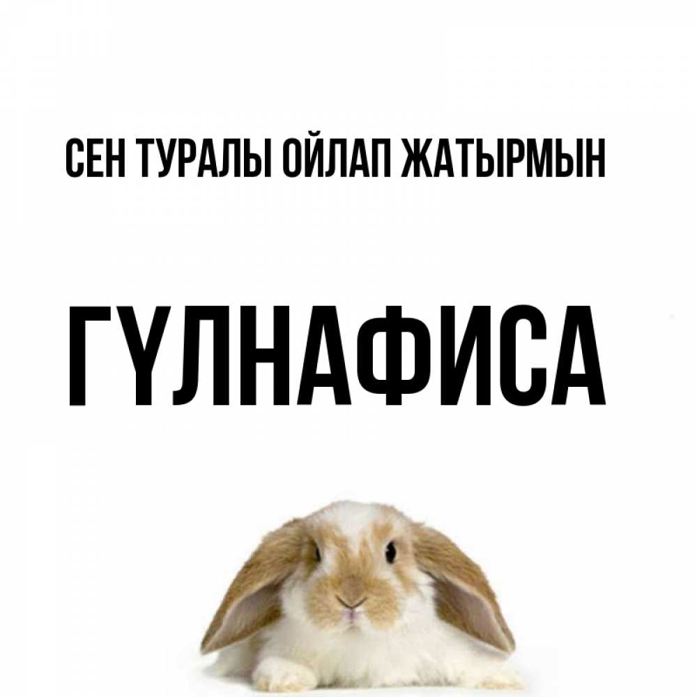 Күн сайын ашық хат с именем, ГҮЛНАФИСА Сен туралы ойлап жатырмын подписать своими руками онлайн Онлайн тегін жүктеп алу тілектері бар керемет карта 