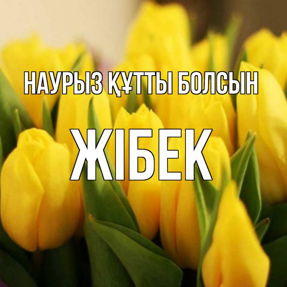 Күн сайын ашық хат с именем, ЖІБЕК Наурыз құтты болсын цветы Онлайн тегін жүктеп алу тілектері бар керемет карта 