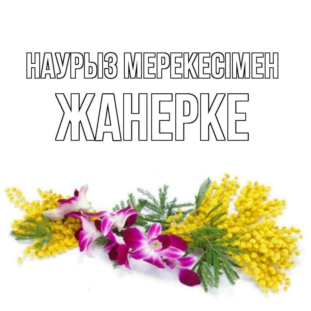 Күн сайын ашық хат с именем, ЖАНЕРКЕ Наурыз мерекесімен открытка на международный женский день с цветами  1 Онлайн тегін жүктеп алу тілектері бар керемет карта 