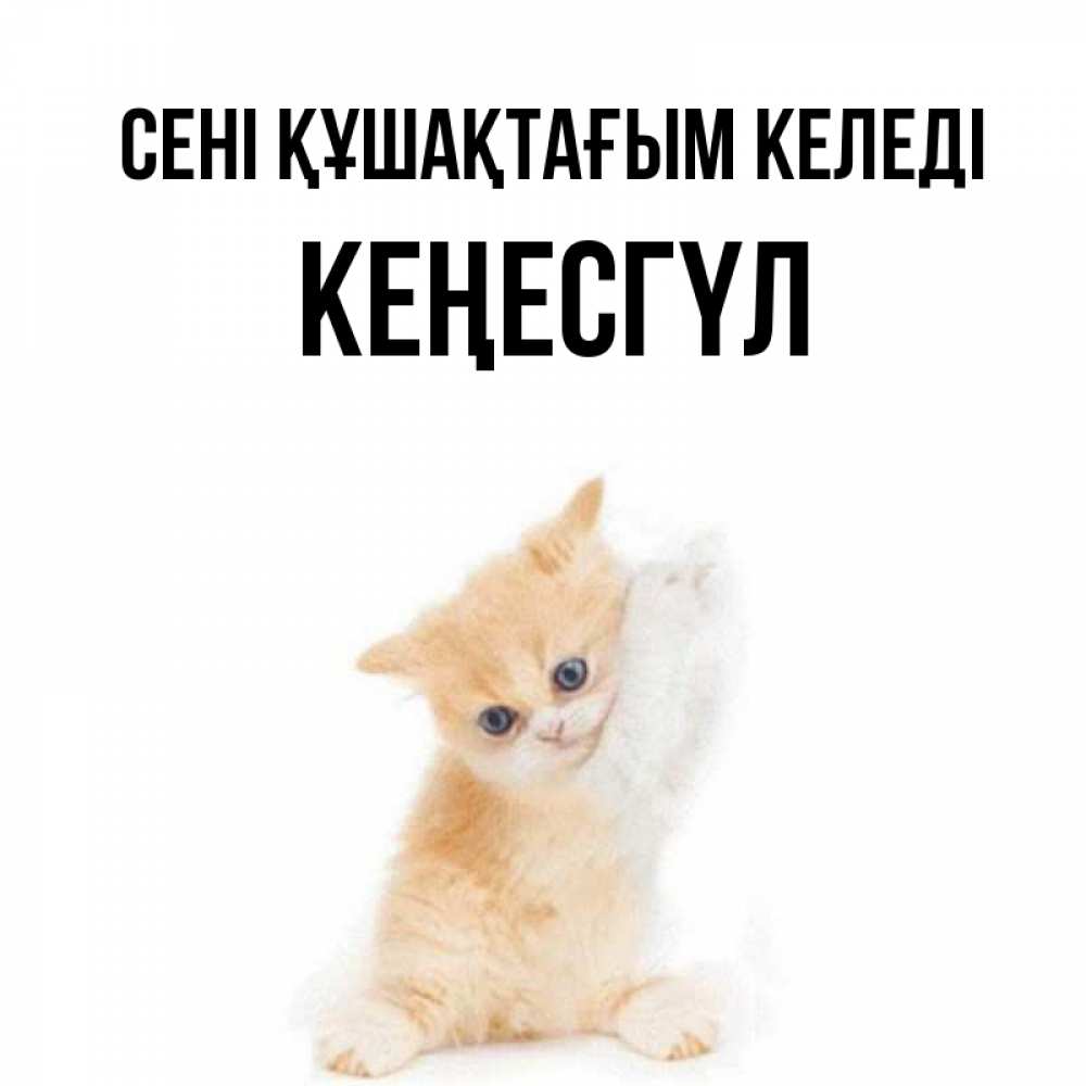 Күн сайын ашық хат с именем, КЕҢЕСГҮЛ сені құшақтағым келеді я хочу очень скорее обнимаешек Онлайн тегін жүктеп алу тілектері бар керемет карта 