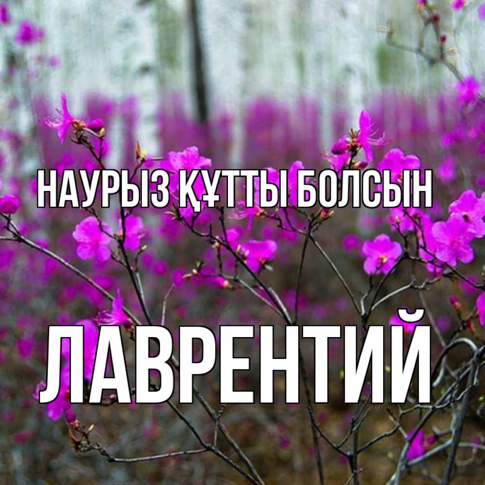 Күн сайын ашық хат с именем, Лаврентий Наурыз құтты болсын дикие цветы Онлайн тегін жүктеп алу тілектері бар керемет карта 