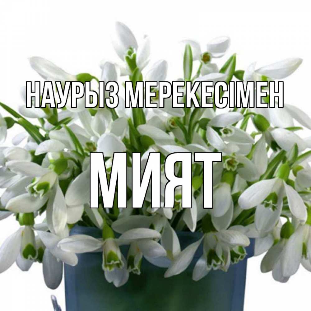 Күн сайын ашық хат с именем, МИЯТ Наурыз мерекесімен цветы к наурызу новый год в Казахстане Онлайн тегін жүктеп алу тілектері бар керемет карта 