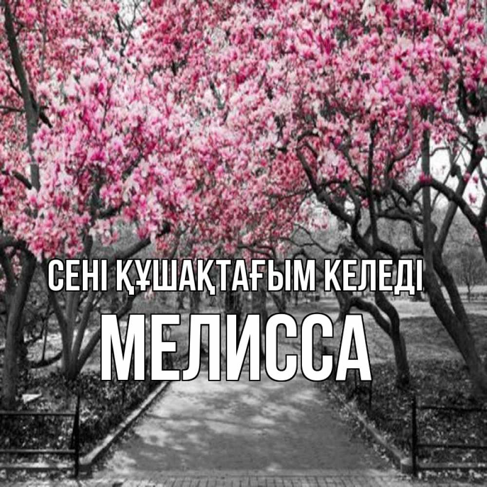 Күн сайын ашық хат с именем, Мелисса сені құшақтағым келеді обработанное фото Онлайн тегін жүктеп алу тілектері бар керемет карта 