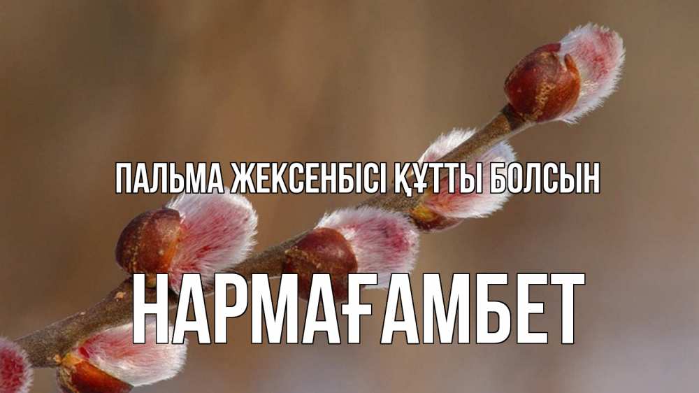 Күн сайын ашық хат с именем, НАРМАҒАМБЕТ Пальма жексенбісі құтты болсын верба Онлайн тегін жүктеп алу тілектері бар керемет карта 