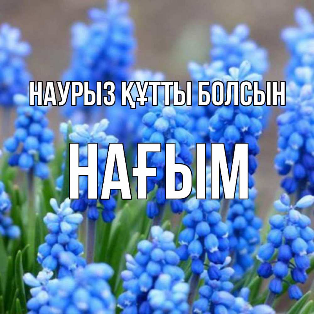 Күн сайын ашық хат с именем, НАҒЫМ Наурыз құтты болсын Поздравительная открытка для женщин с цветами на праздничную дату Онлайн тегін жүктеп алу тілектері бар керемет карта 