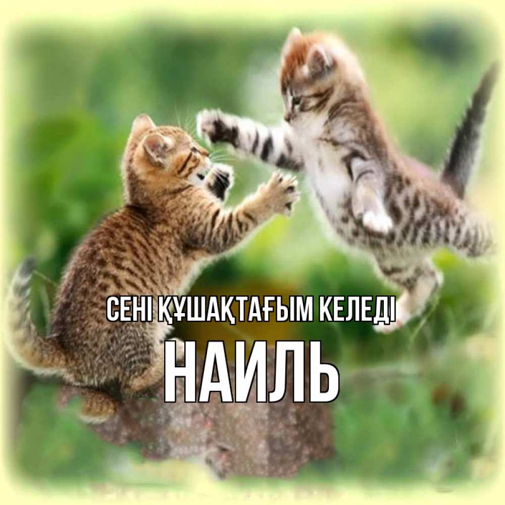 Күн сайын ашық хат с именем, Наиль сені құшақтағым келеді игры котят Онлайн тегін жүктеп алу тілектері бар керемет карта 