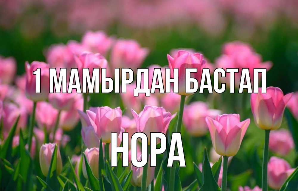 Күн сайын ашық хат с именем, Нора 1 мамырдан бастап С 1 мая Онлайн тегін жүктеп алу тілектері бар керемет карта 