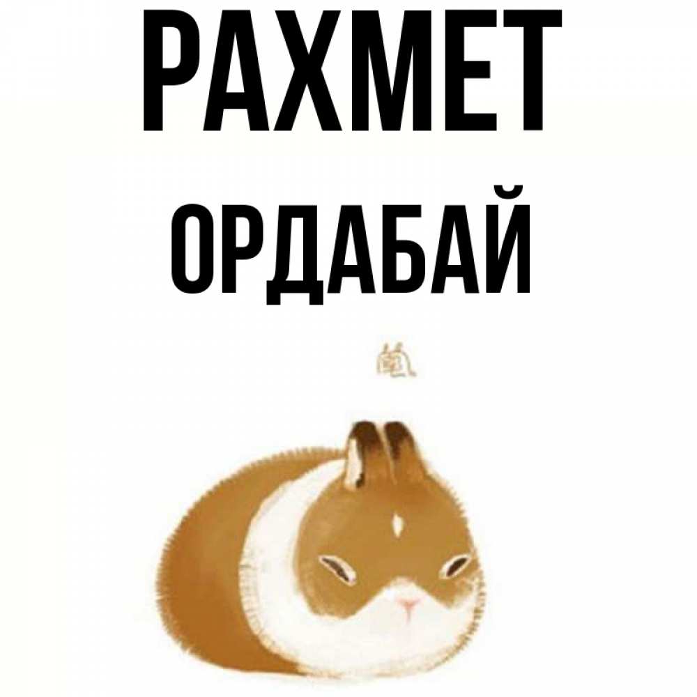 Күн сайын ашық хат с именем, ОРДАБАЙ рахмет коричнево белый домашний питомец Онлайн тегін жүктеп алу тілектері бар керемет карта 