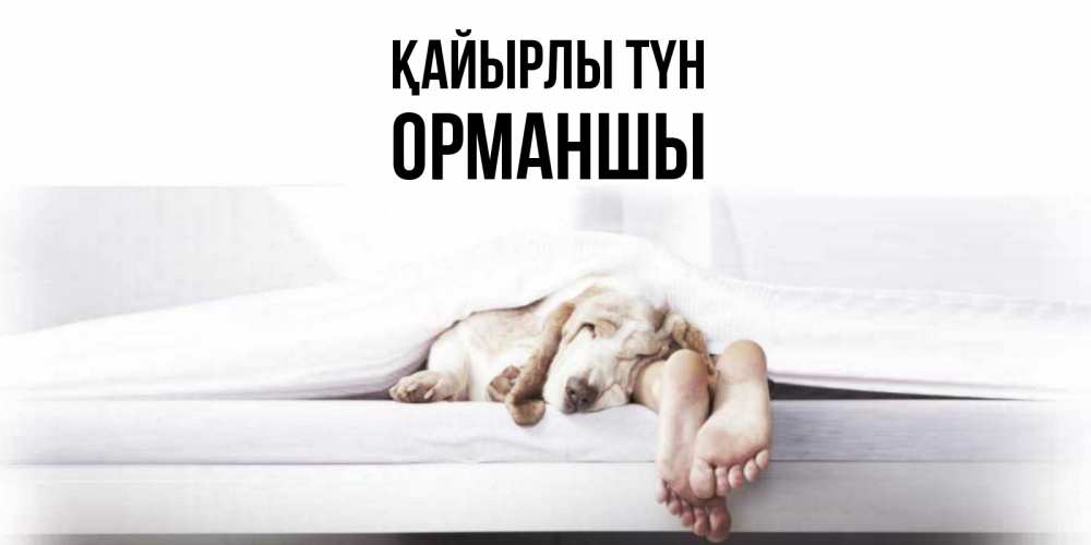 Күн сайын ашық хат с именем, ОРМАНШЫ Қайырлы түн кровать с собакой пожелание сладких снов и спокойной ночи Онлайн тегін жүктеп алу тілектері бар керемет карта 