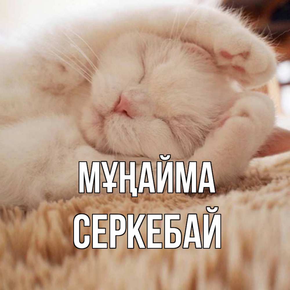 Күн сайын ашық хат с именем, СЕРКЕБАЙ Мұңайма белый кот Онлайн тегін жүктеп алу тілектері бар керемет карта 