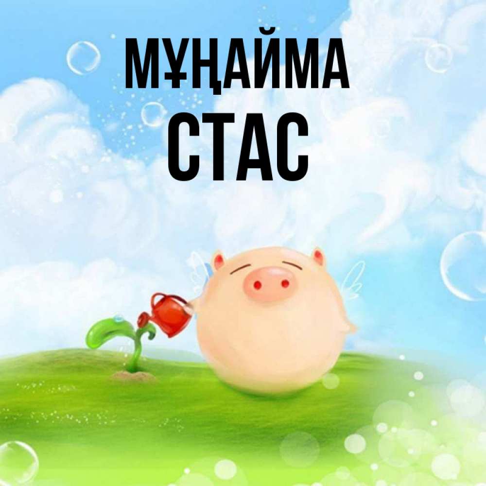 Күн сайын ашық хат с именем, Стас Мұңайма поливает цветок порося Онлайн тегін жүктеп алу тілектері бар керемет карта 