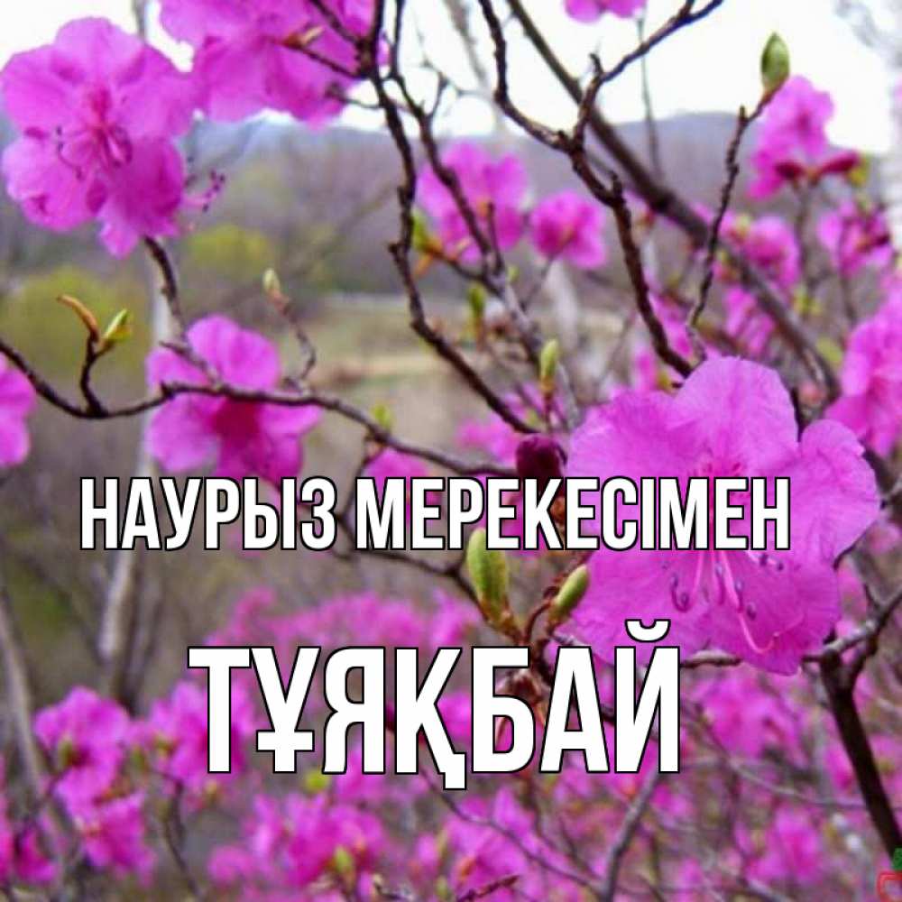 Күн сайын ашық хат с именем, ТҰЯҚБАЙ Наурыз мерекесімен праздник весны наурыз Онлайн тегін жүктеп алу тілектері бар керемет карта 