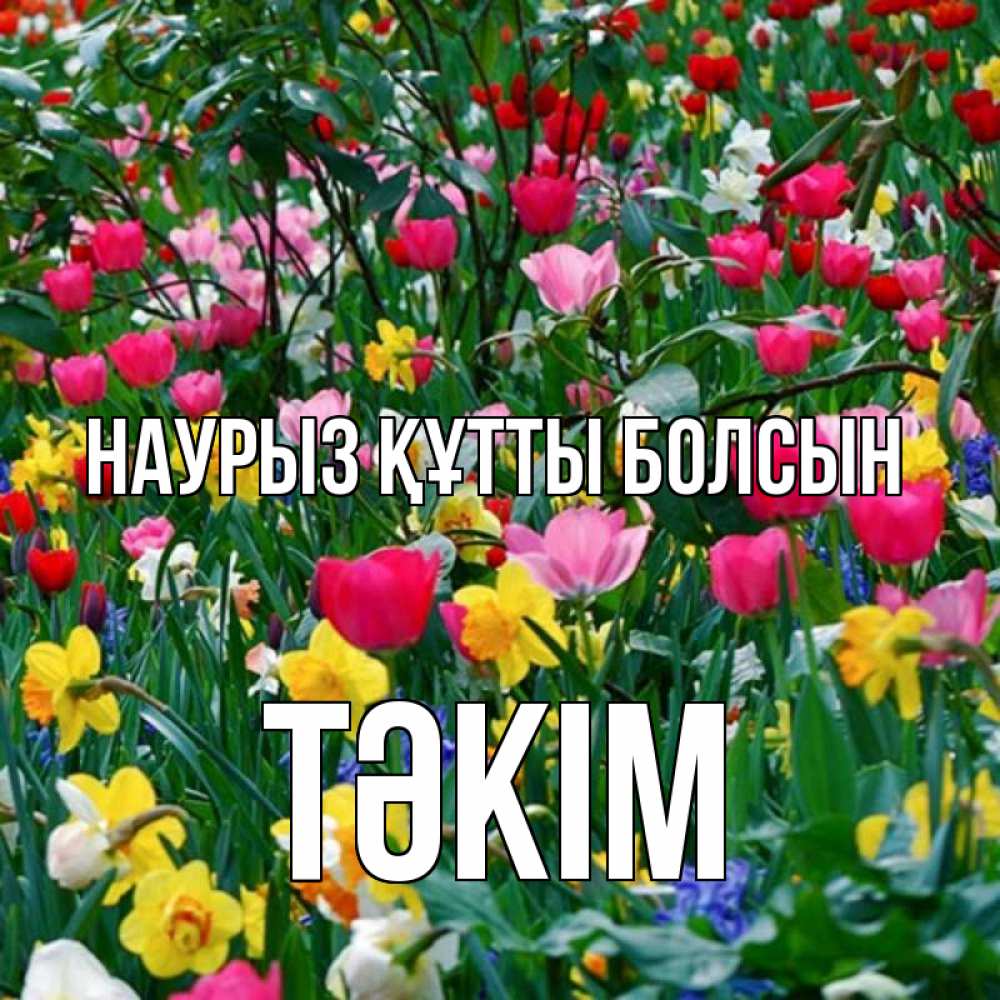 Күн сайын ашық хат с именем, ТӘКІМ Наурыз құтты болсын с наурызом поздравления для женщины Онлайн тегін жүктеп алу тілектері бар керемет карта 
