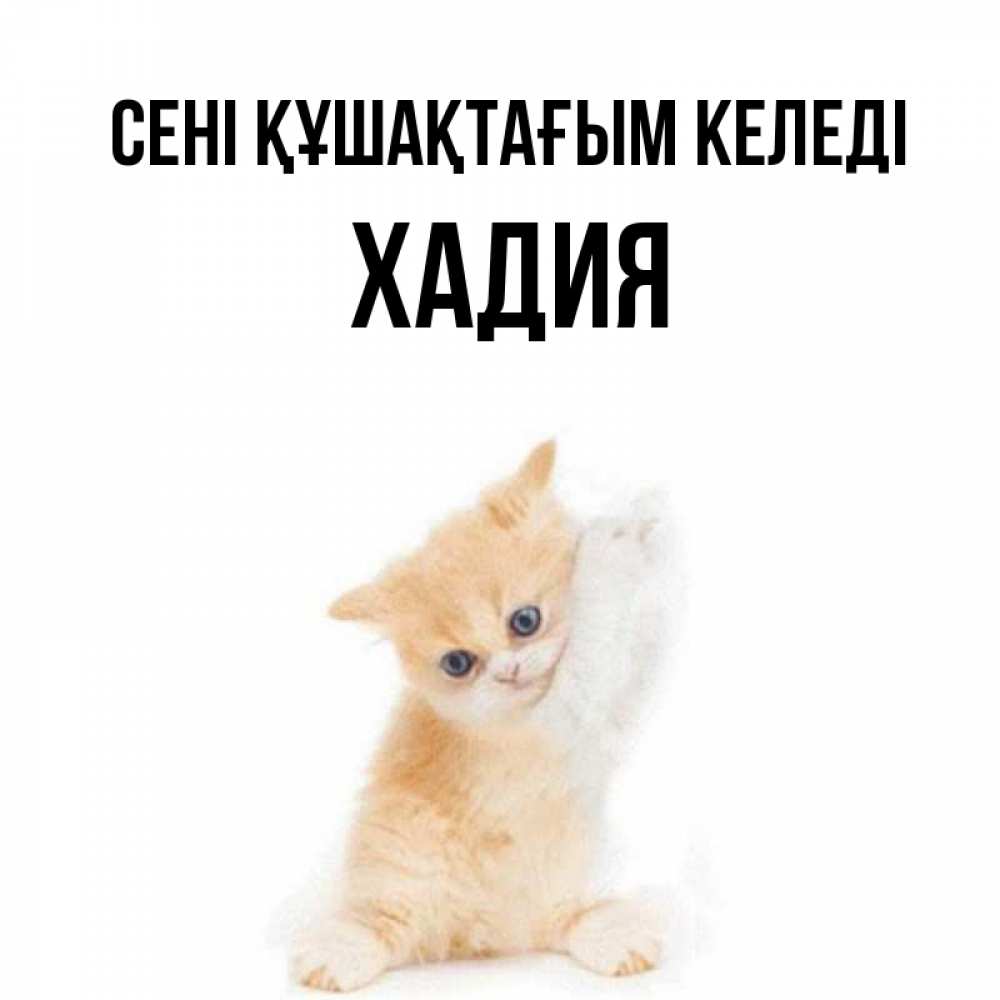 Күн сайын ашық хат с именем, ХАДИЯ сені құшақтағым келеді я хочу очень скорее обнимаешек Онлайн тегін жүктеп алу тілектері бар керемет карта 