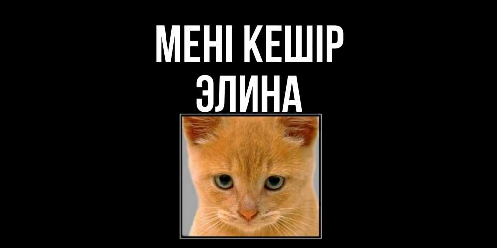 Күн сайын ашық хат с именем, Элина Мені кешір рыжий грустный кот просит прощения Онлайн тегін жүктеп алу тілектері бар керемет карта 