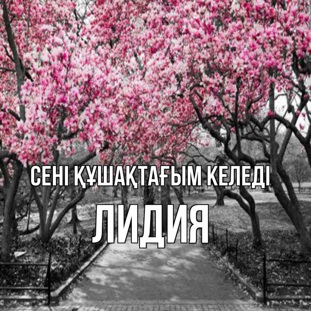 Күн сайын ашық хат с именем, Лидия сені құшақтағым келеді обработанное фото Онлайн тегін жүктеп алу тілектері бар керемет карта 