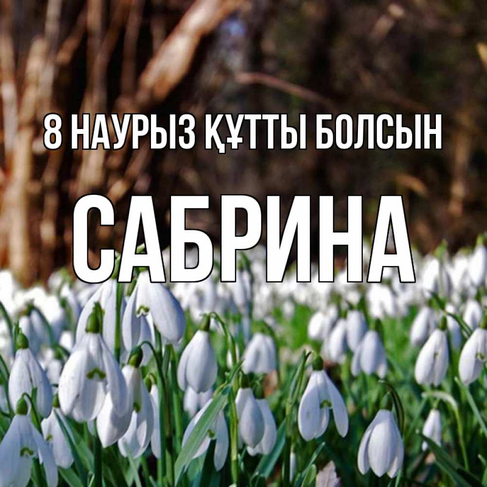 Күн сайын ашық хат с именем, Сабрина 8 наурыз құтты болсын с подснежниками 1 Онлайн тегін жүктеп алу тілектері бар керемет карта 