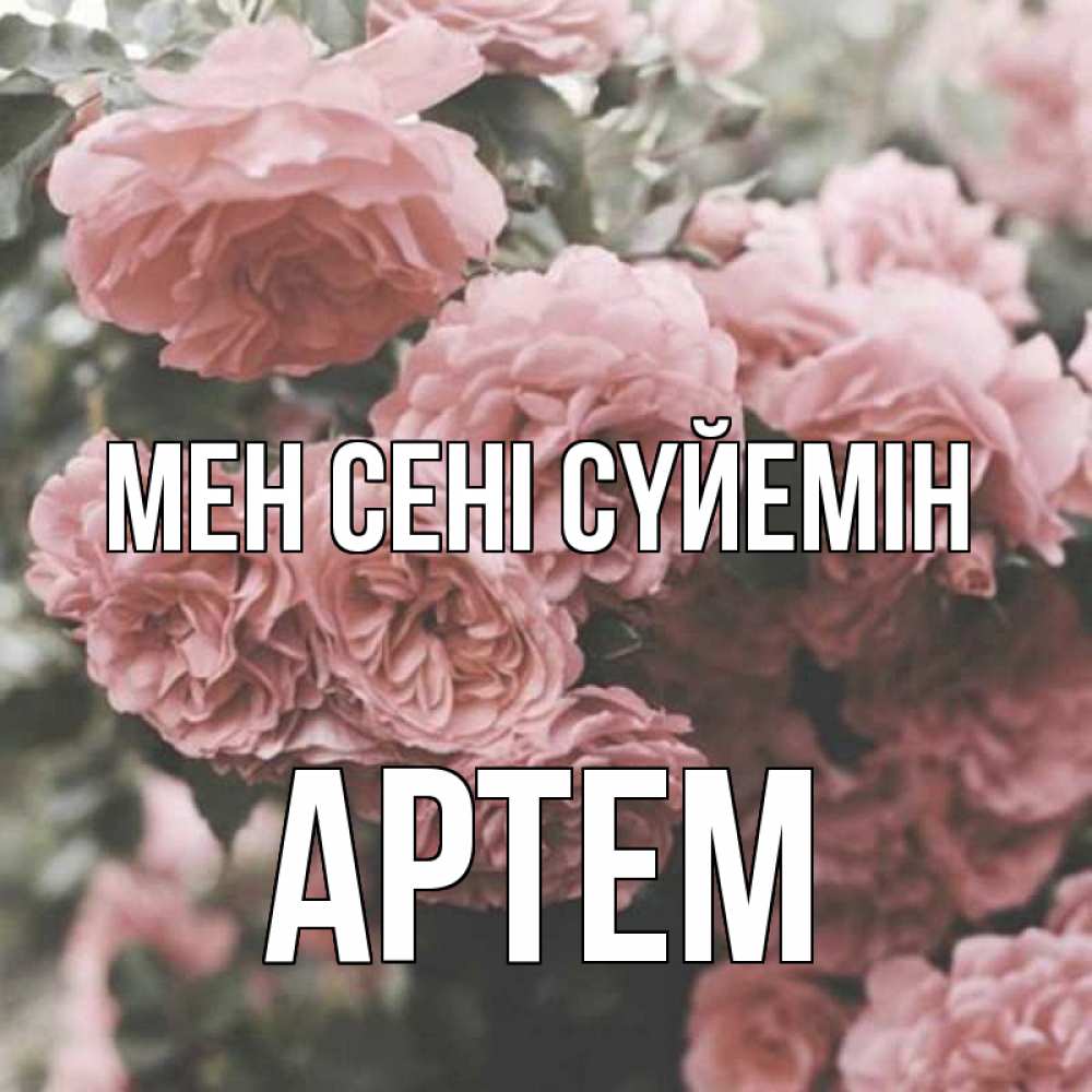 Күн сайын ашық хат с именем, Артем Мен сені сүйемін розы 3 Онлайн тегін жүктеп алу тілектері бар керемет карта 
