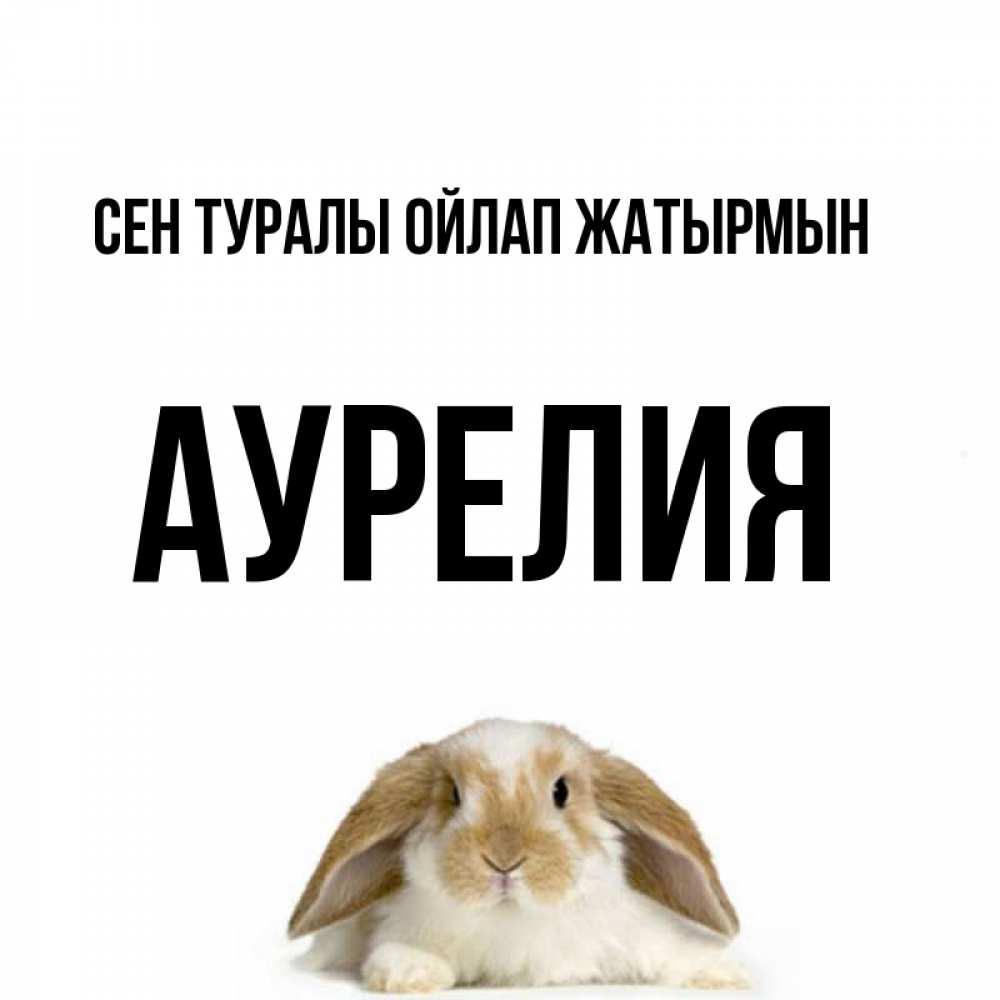 Күн сайын ашық хат с именем, Аурелия Сен туралы ойлап жатырмын подписать своими руками онлайн Онлайн тегін жүктеп алу тілектері бар керемет карта 