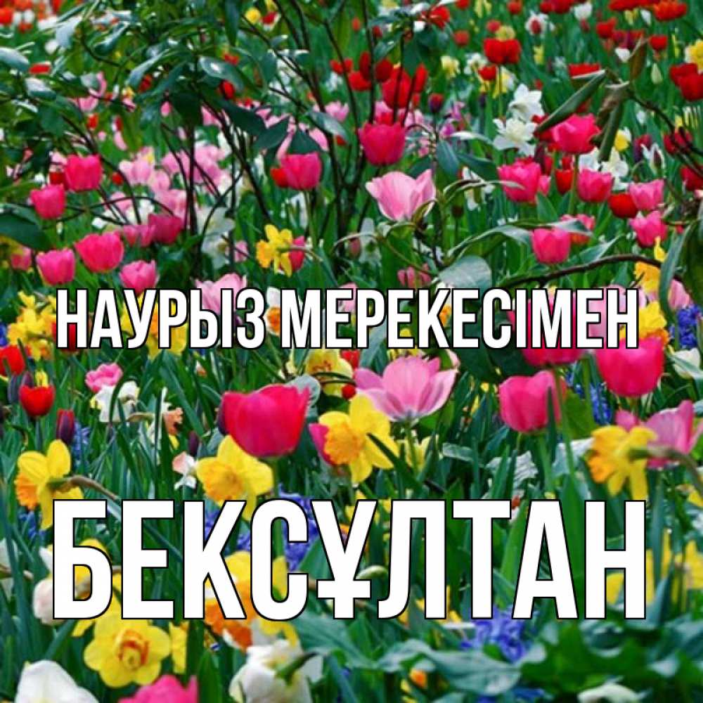 Күн сайын ашық хат с именем, Бексұлтан Наурыз мерекесімен с наурызом праздником весны поздравления для женщины Онлайн тегін жүктеп алу тілектері бар керемет карта 