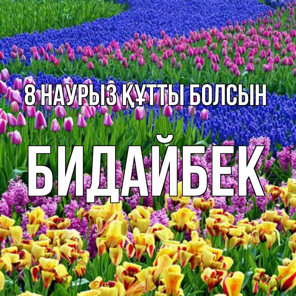 Күн сайын ашық хат с именем, Бидайбек 8 наурыз құтты болсын цветы Онлайн тегін жүктеп алу тілектері бар керемет карта 