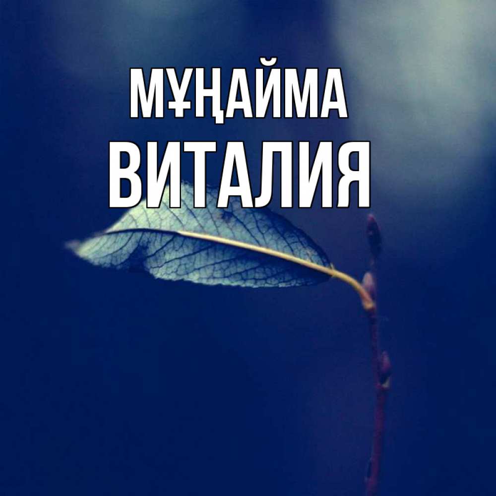 Күн сайын ашық хат с именем, Виталия Мұңайма растение Онлайн тегін жүктеп алу тілектері бар керемет карта 