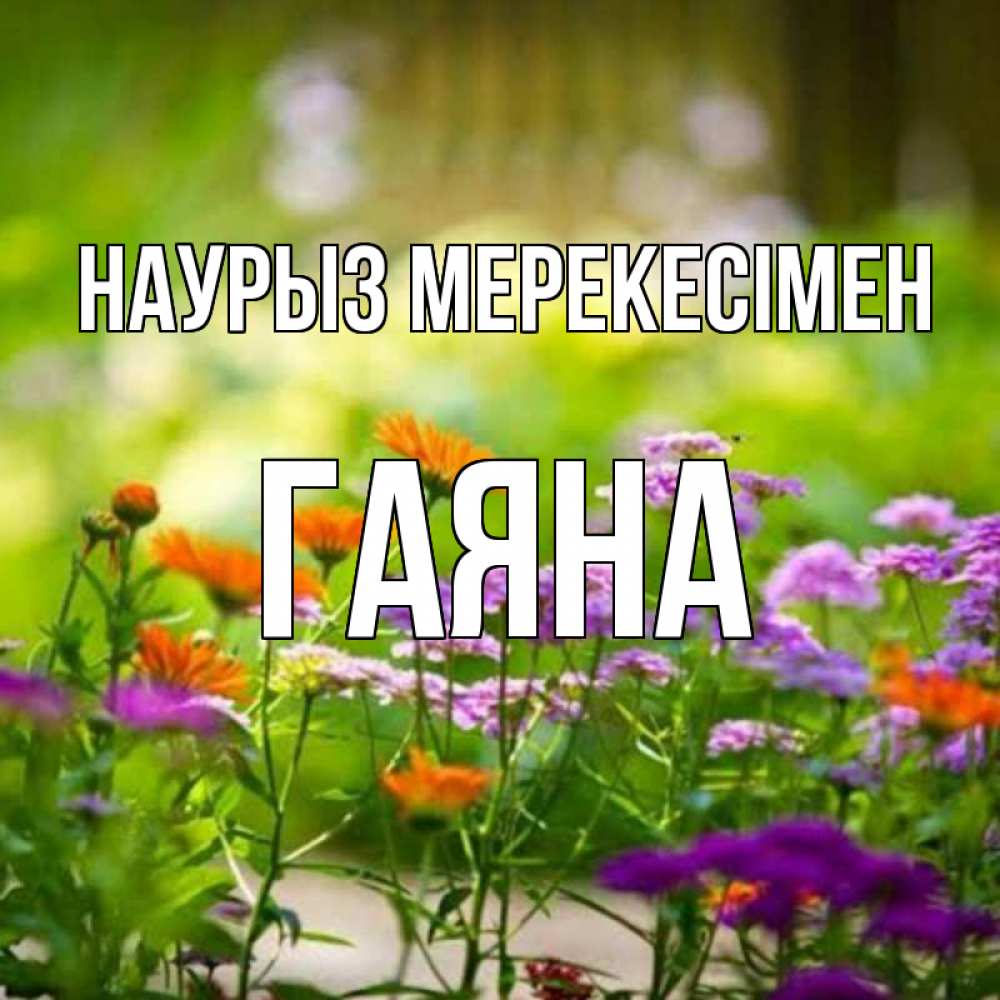 Күн сайын ашық хат с именем, ГАЯНА Наурыз мерекесімен цветы Онлайн тегін жүктеп алу тілектері бар керемет карта 