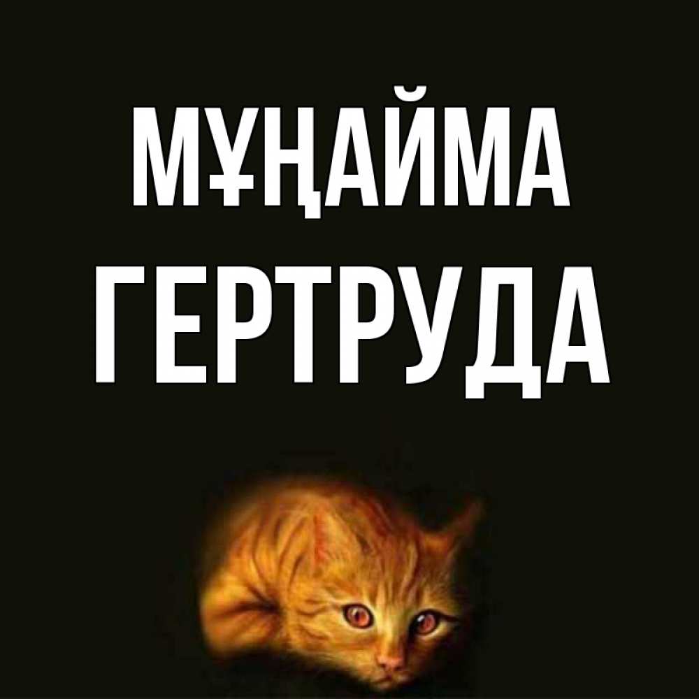 Күн сайын ашық хат с именем, Гертруда Мұңайма лежащий кот в темноте Онлайн тегін жүктеп алу тілектері бар керемет карта 