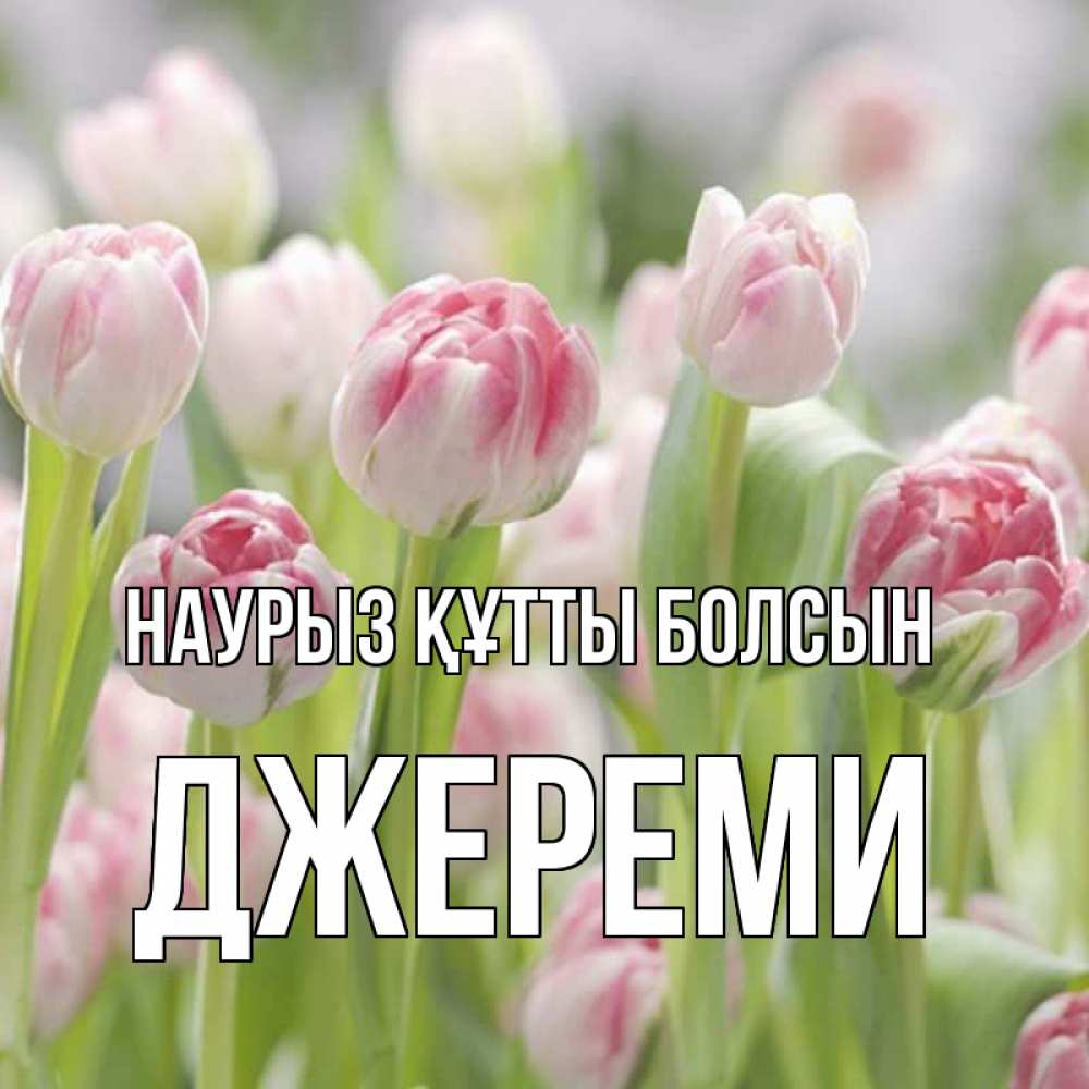 Күн сайын ашық хат с именем, Джереми Наурыз құтты болсын цветы Онлайн тегін жүктеп алу тілектері бар керемет карта 