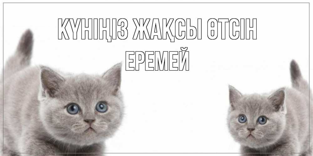 Күн сайын ашық хат с именем, Еремей Күніңіз жақсы өтсін открытка с котами Онлайн тегін жүктеп алу тілектері бар керемет карта 