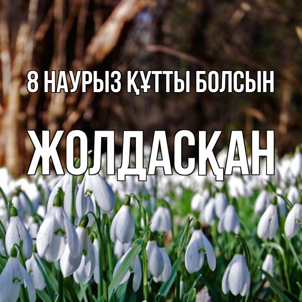 Күн сайын ашық хат с именем, Жолдасқан 8 наурыз құтты болсын с подснежниками 1 Онлайн тегін жүктеп алу тілектері бар керемет карта 