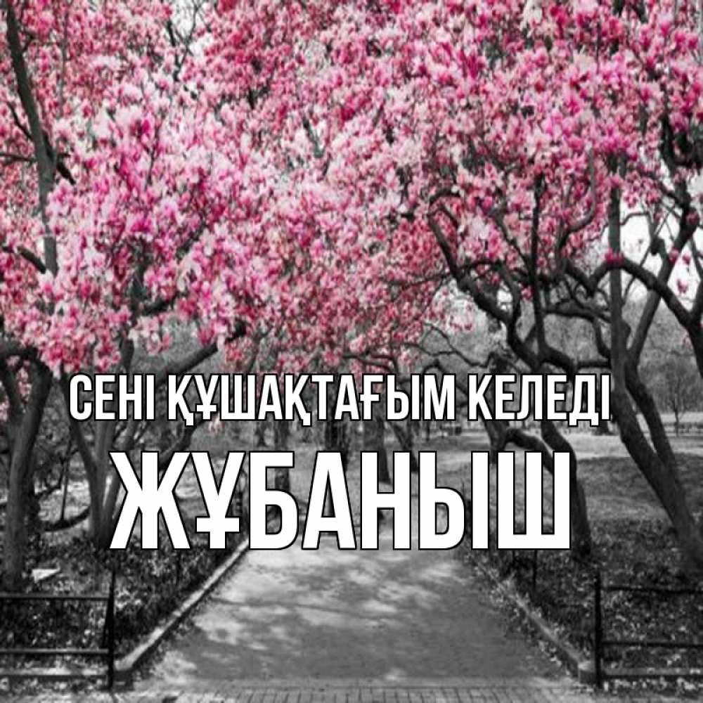 Күн сайын ашық хат с именем, Жұбаныш сені құшақтағым келеді обработанное фото Онлайн тегін жүктеп алу тілектері бар керемет карта 