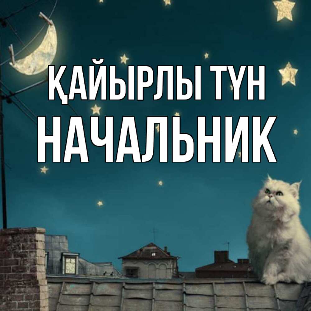 Күн сайын ашық хат с именем, Начальник Қайырлы түн белый кот сидит на крыше Онлайн тегін жүктеп алу тілектері бар керемет карта 