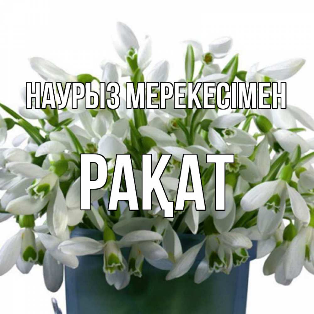Күн сайын ашық хат с именем, РАҚАТ Наурыз мерекесімен цветы к наурызу новый год в Казахстане Онлайн тегін жүктеп алу тілектері бар керемет карта 