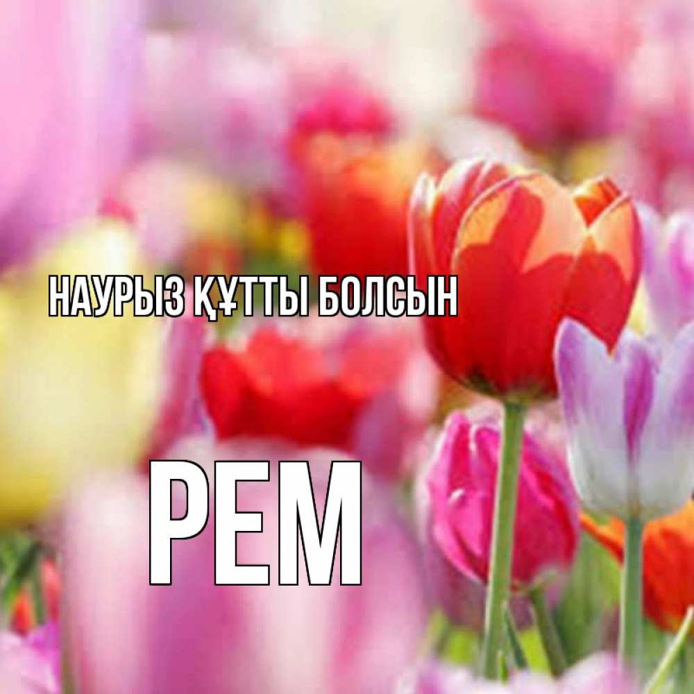 Күн сайын ашық хат с именем, Рем Наурыз құтты болсын на наурыз  2 Онлайн тегін жүктеп алу тілектері бар керемет карта 