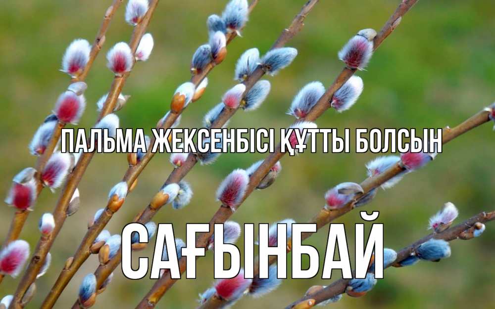 Күн сайын ашық хат с именем, Сағынбай Пальма жексенбісі құтты болсын верба Онлайн тегін жүктеп алу тілектері бар керемет карта 