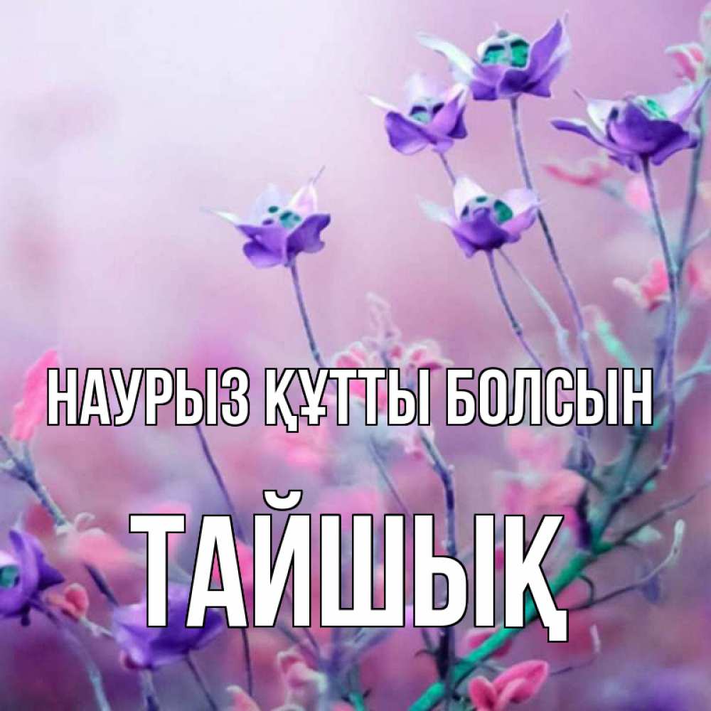 Күн сайын ашық хат с именем, ТАЙШЫҚ Наурыз құтты болсын наурыз  2 Онлайн тегін жүктеп алу тілектері бар керемет карта 
