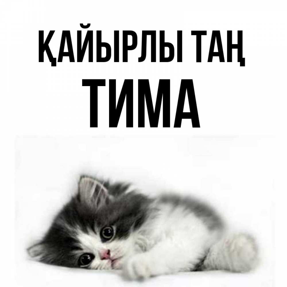 Күн сайын ашық хат с именем, Тима Қайырлы таң кот лапки Онлайн тегін жүктеп алу тілектері бар керемет карта 