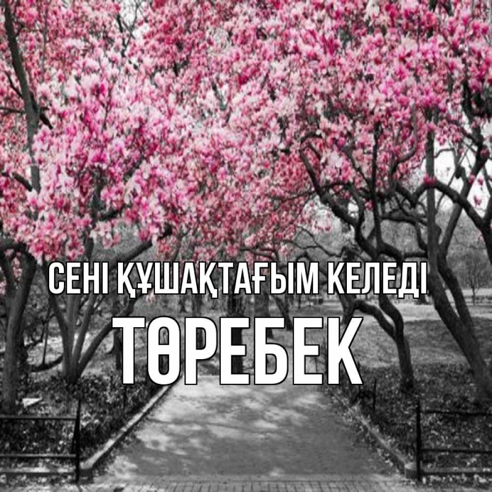 Күн сайын ашық хат с именем, ТӨРЕБЕК сені құшақтағым келеді обработанное фото Онлайн тегін жүктеп алу тілектері бар керемет карта 