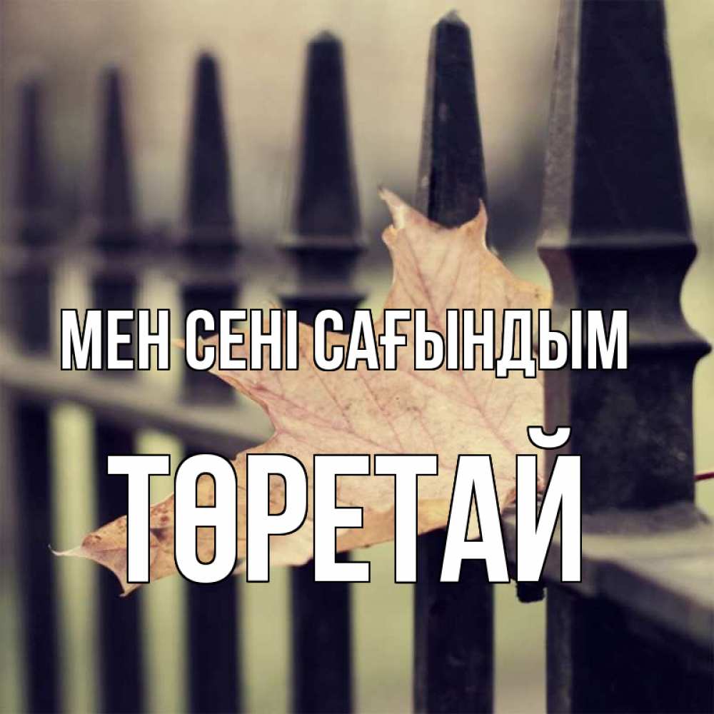 Күн сайын ашық хат с именем, Төретай Мен сені сағындым очень скучно Онлайн тегін жүктеп алу тілектері бар керемет карта 