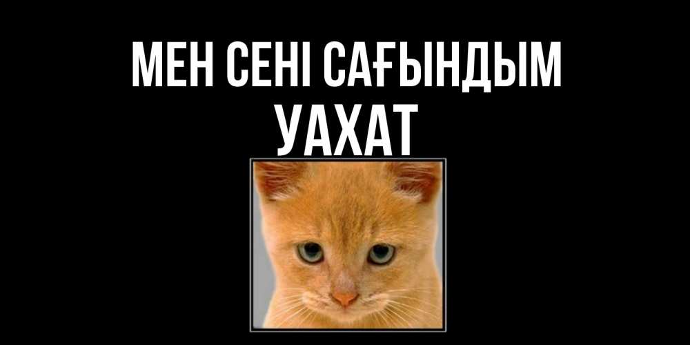 Күн сайын ашық хат с именем, УАХАТ Мен сені сағындым открытки рыжий котенок скучает по тебе Онлайн тегін жүктеп алу тілектері бар керемет карта 