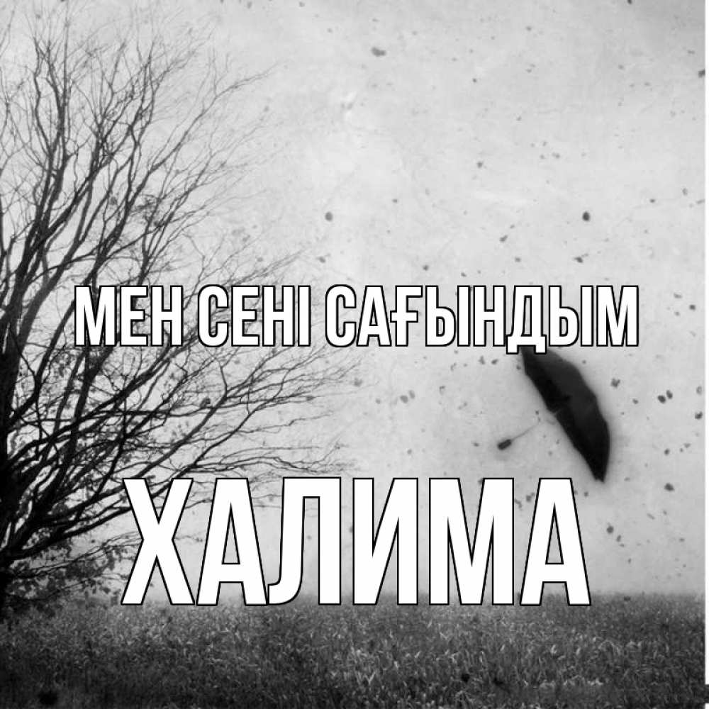 Күн сайын ашық хат с именем, ХАЛИМА Мен сені сағындым зонт летит Онлайн тегін жүктеп алу тілектері бар керемет карта 