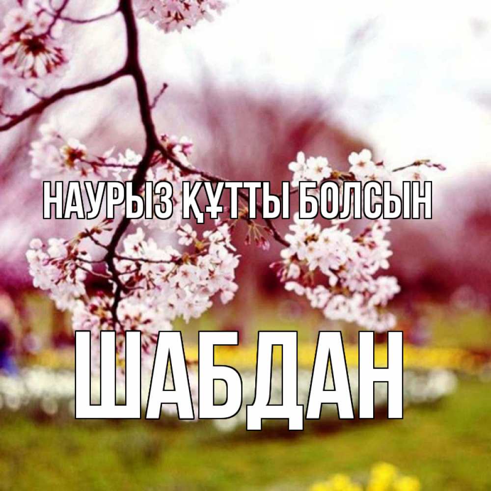 Күн сайын ашық хат с именем, ШАБДАН Наурыз құтты болсын яблоня Онлайн тегін жүктеп алу тілектері бар керемет карта 