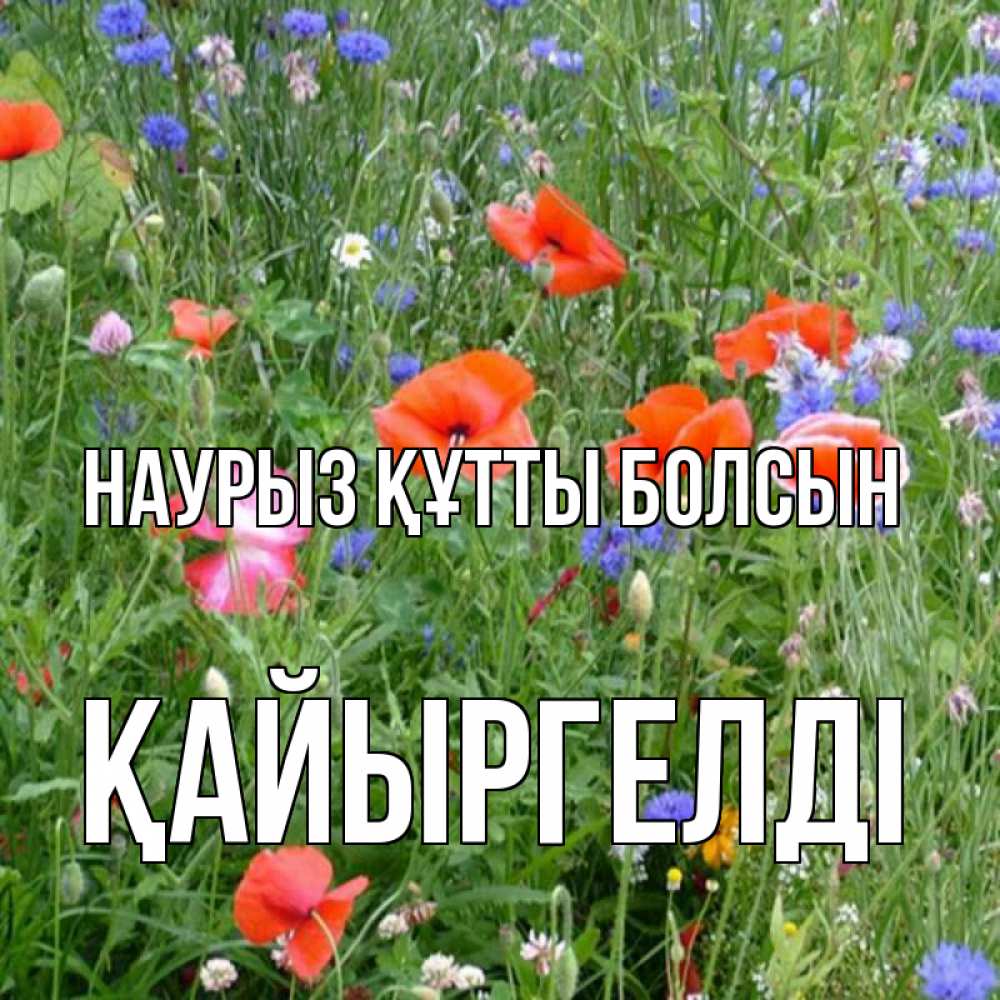 Күн сайын ашық хат с именем, Қайыргелді Наурыз құтты болсын наурыз  4 Онлайн тегін жүктеп алу тілектері бар керемет карта 