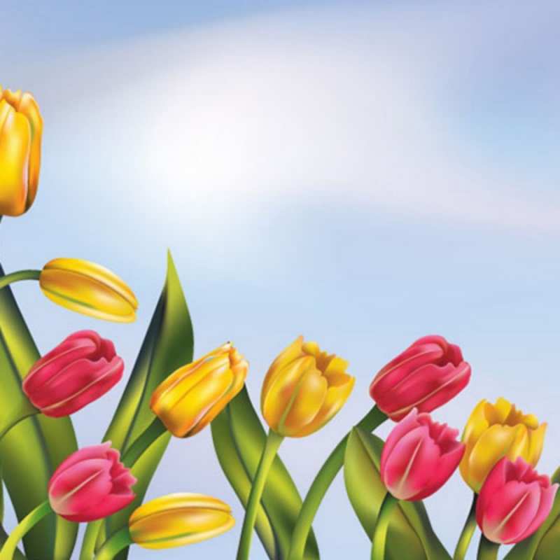 Открытка клипарт тюльпаны  международный женский день  8 наурыз құтты болсын 