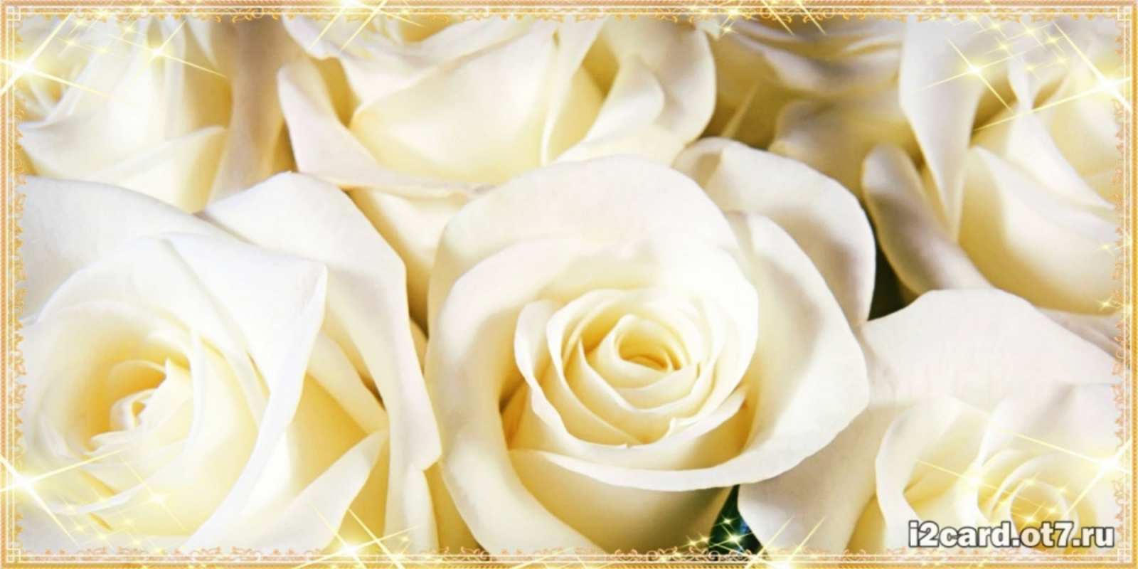 Открытка белые розы для родных людей розочки белого цвета на открытке Туған күніңмен 