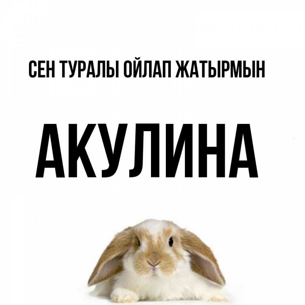 Күн сайын ашық хат с именем, Акулина Сен туралы ойлап жатырмын подписать своими руками онлайн Онлайн тегін жүктеп алу тілектері бар керемет карта 